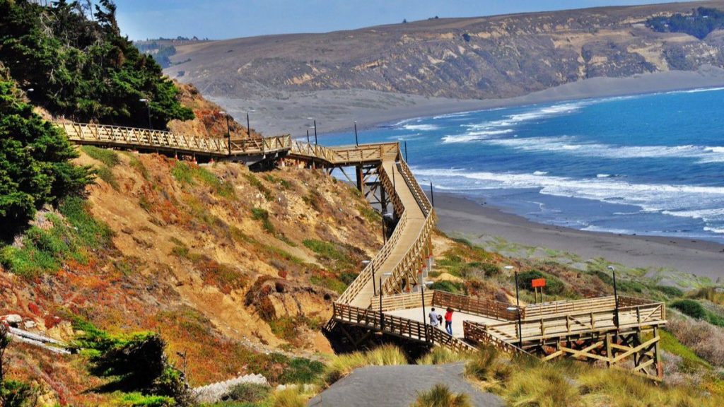 Playa Sur De Chile (9)