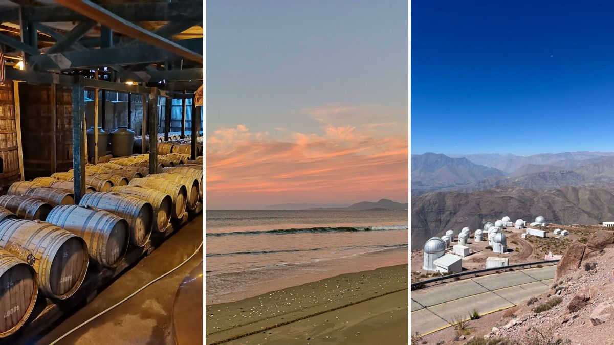 Las 6 actividades imperdibles menos conocidas de La Serena