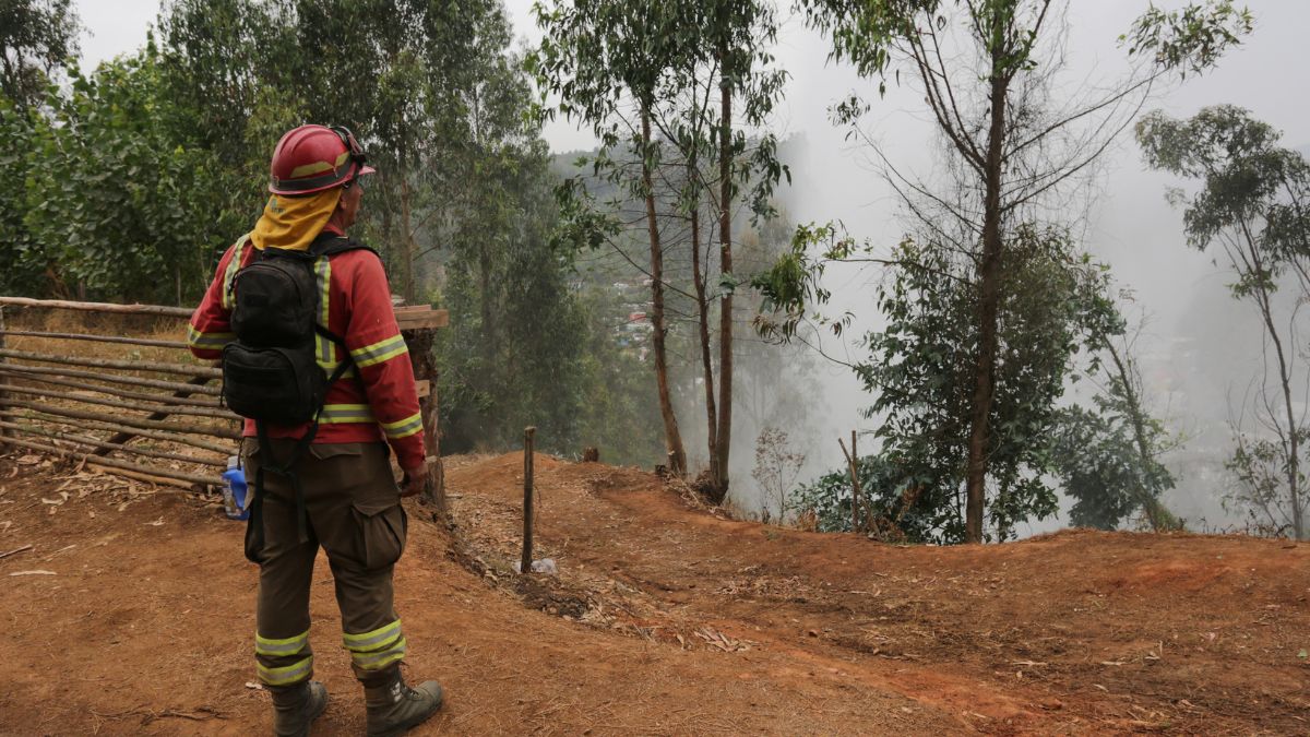 España hace envío de ayuda para combatir incendios la zona sur del país: "Todo nuestro apoyo al pueblo chileno"