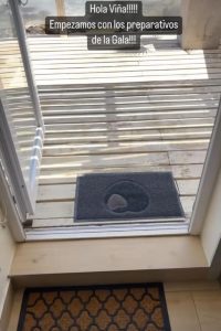 Famosos Viña Del Mar 