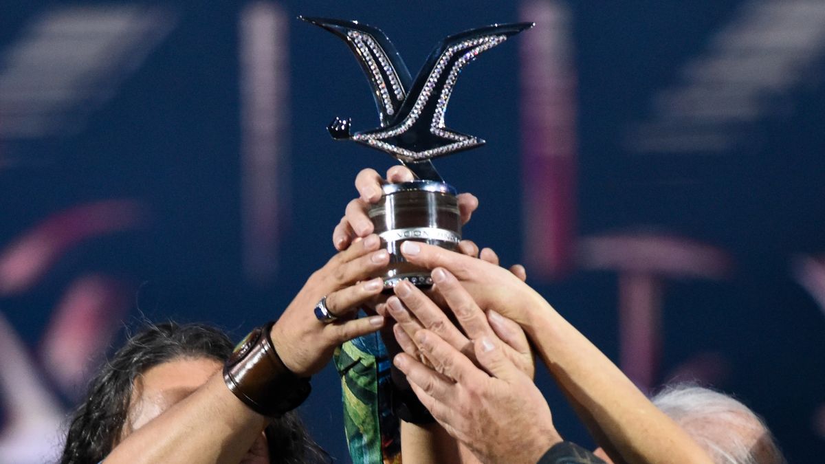 ¿Cuánto cuesta una Gaviota de Platino y qué artistas la han recibido?