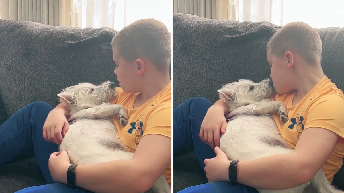 "El mejor video que he visto": Niño es viral en TikTok tras cantarle una canción de Coldplay a su perrito