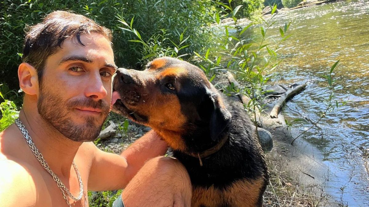 ¡Como salida de un cuento!: Así le quedó la casa a Pedro Astorga en Pucón