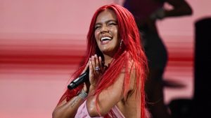 Las curiosas peticiones de los artistas del Festival de Viña 2023