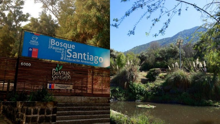 Bosque Santiago Panorama (1)