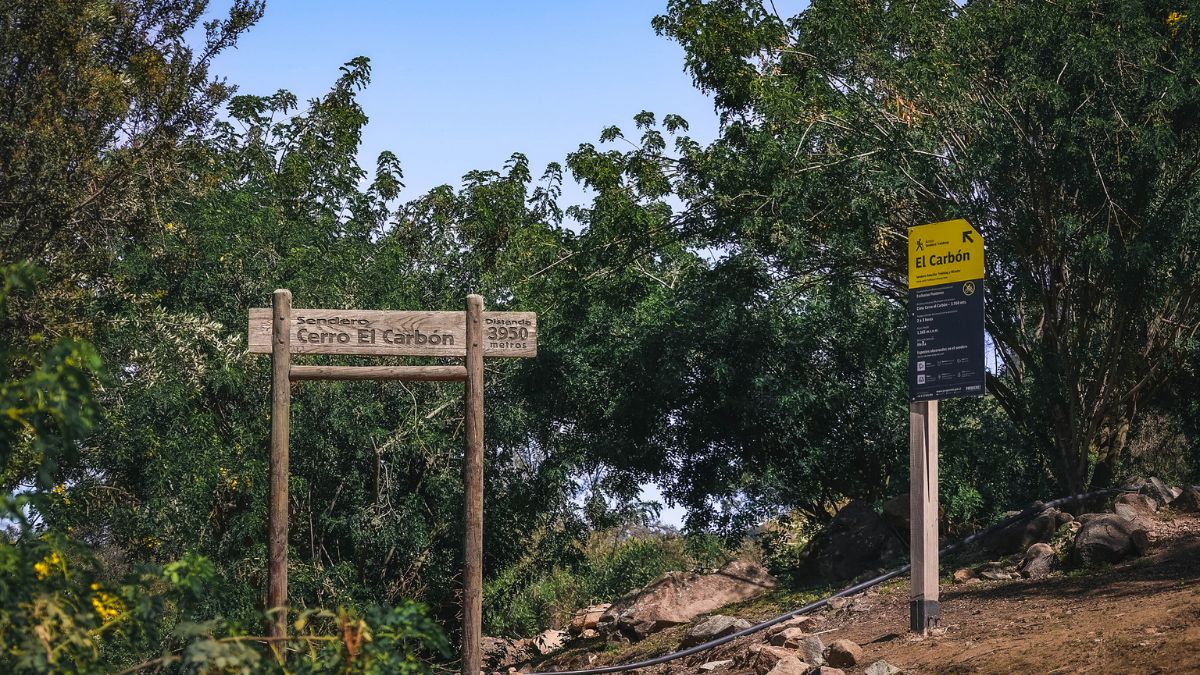 Bosque Santiago Panorama (2)