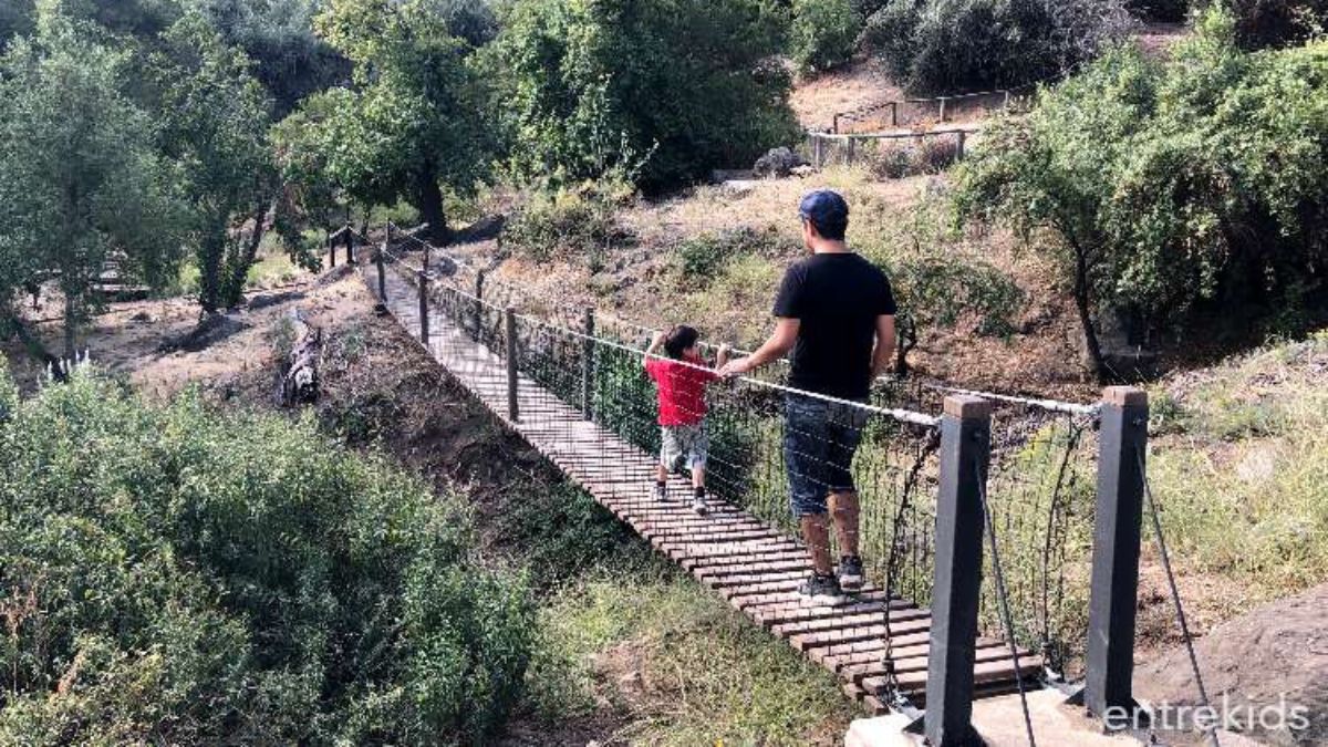Bosque Santiago Panorama (3)