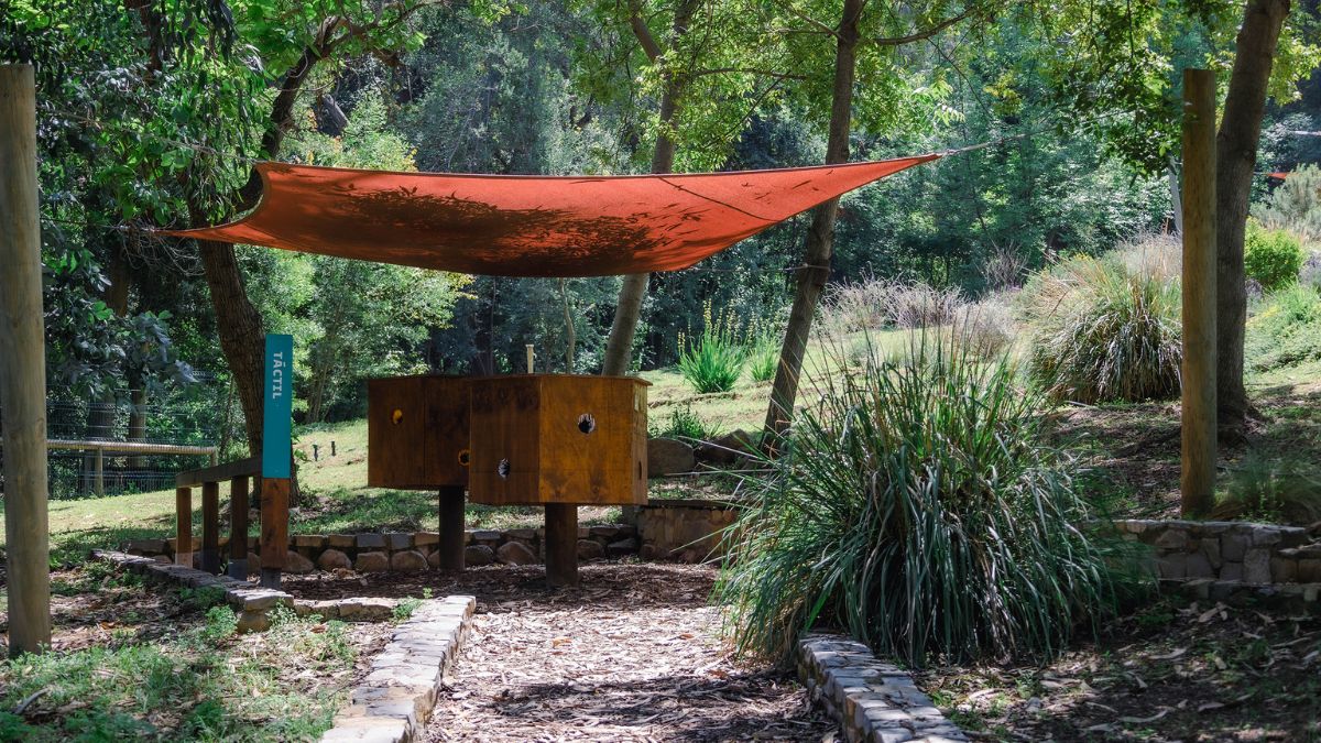 Bosque Santiago Panorama (4)