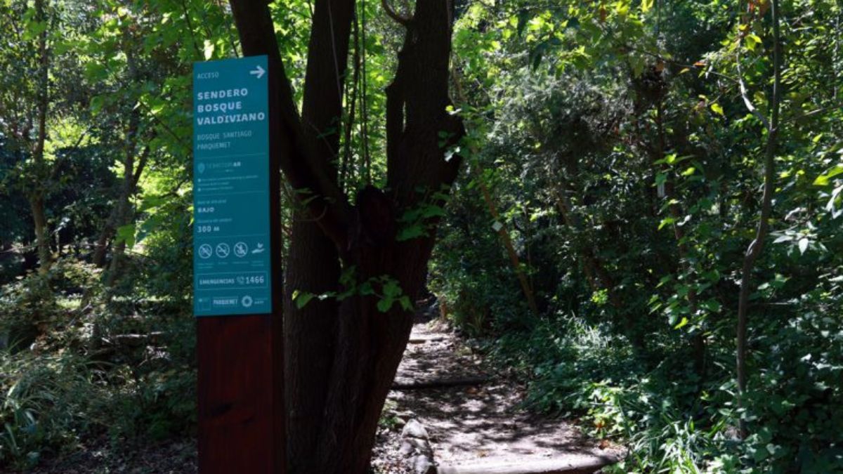 Bosque Santiago Panorama (5)