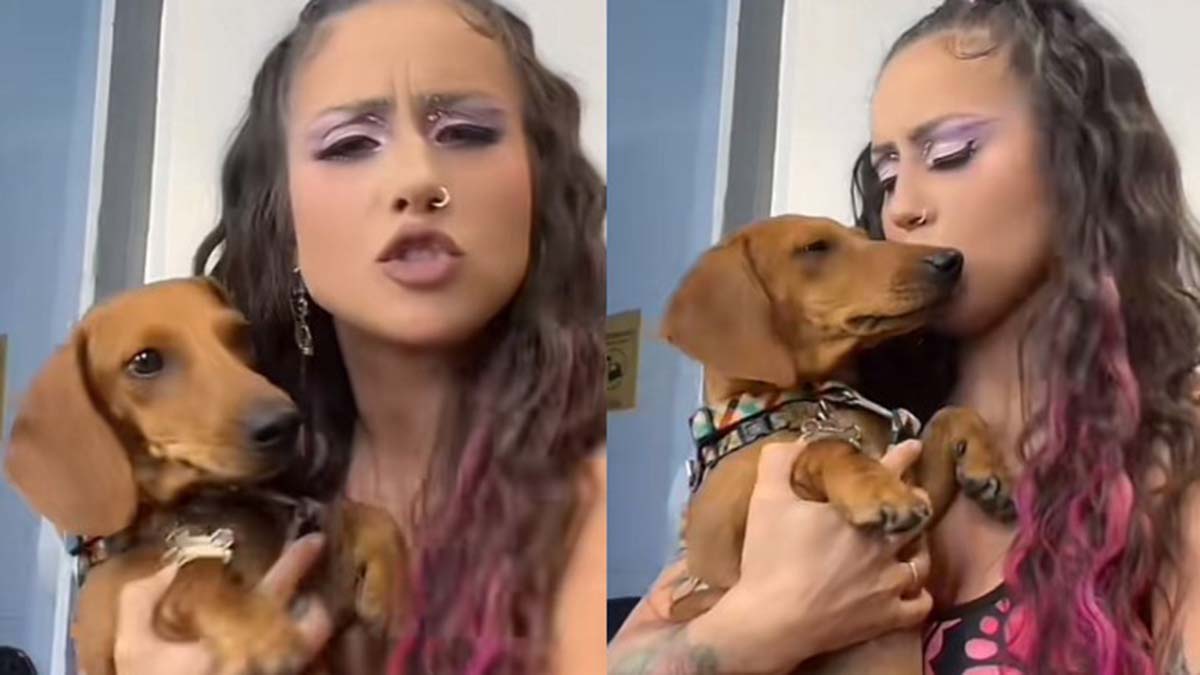 "Muy escorpio de mi parte": Denise Rosenthal mostró en TikTok cómo defiende a uno de sus perros de las críticas
