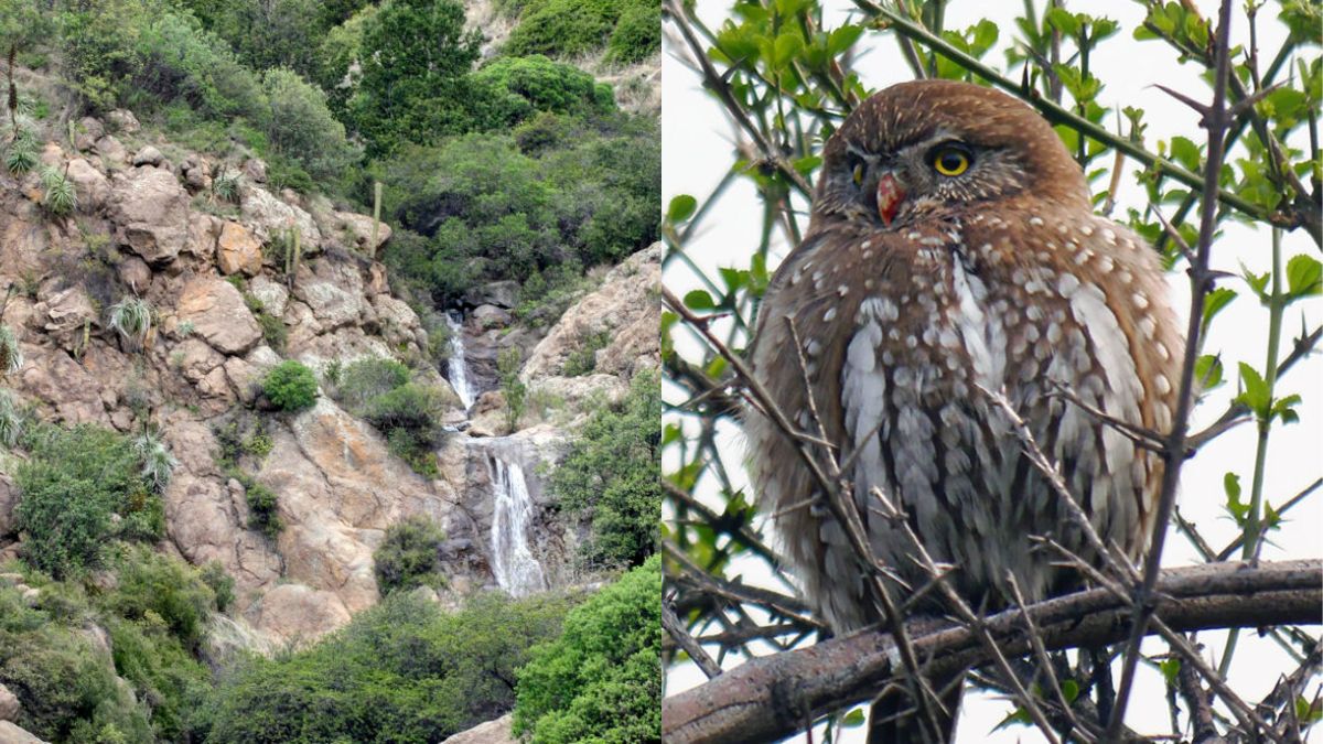 El parque menos conocido de Santiago que sí o sí debes visitar: tiene un rincón único en el mundo