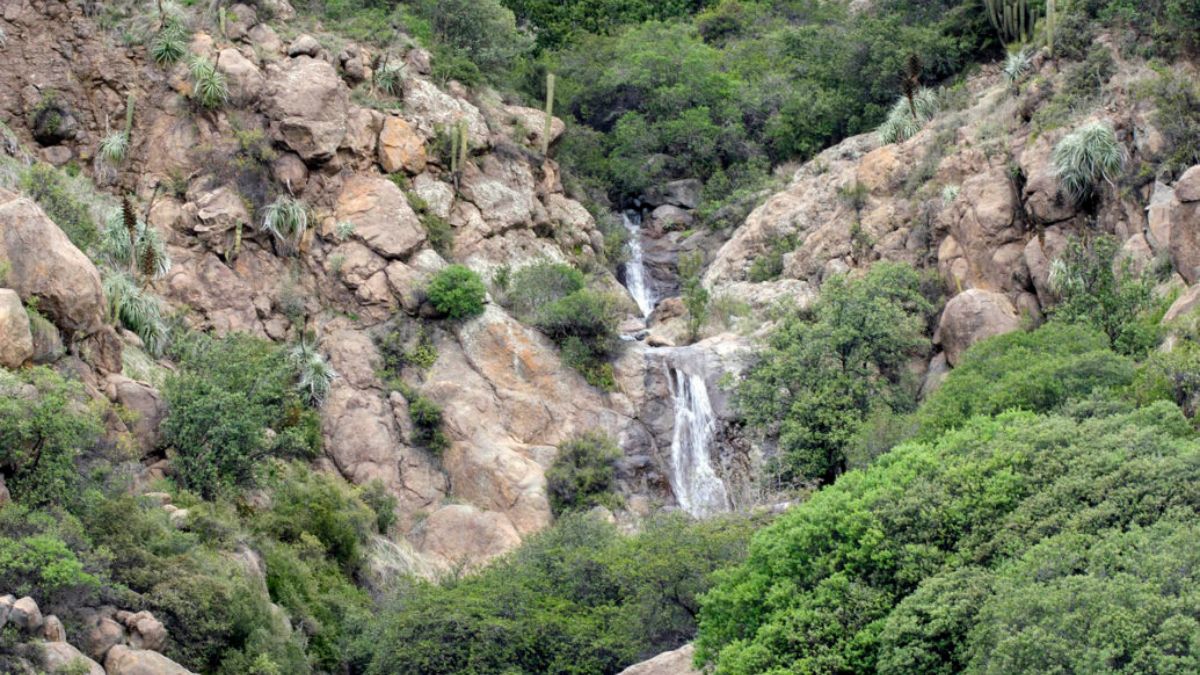 Parque Santiago (22)