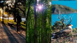 Nada que envidiarle a otros países: estos son los 16 nuevos parques urbanos que tendrá Chile