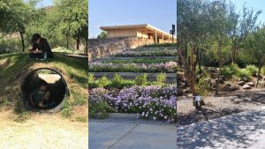 El parque perfecto para ir con tus hijos en marzo: es gratis y queda a sólo 40 minutos de Santiago