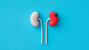 ¿Cómo detectar a tiempo un cáncer de riñón?: Estos son los síntomas más comunes