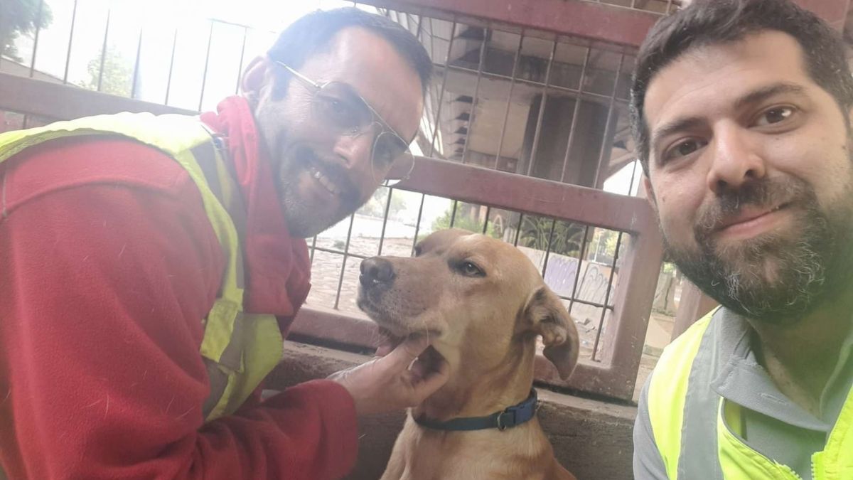 Metro De Santiago (6)