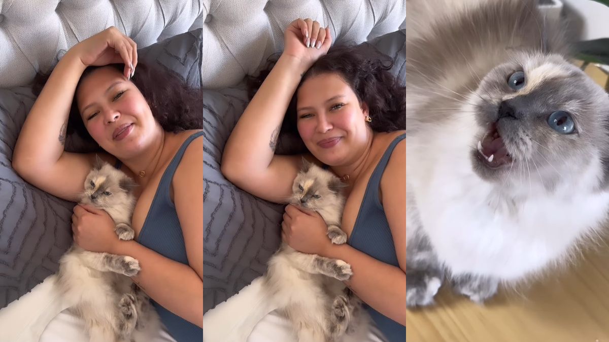 Michelle Carvalho Redes (1)