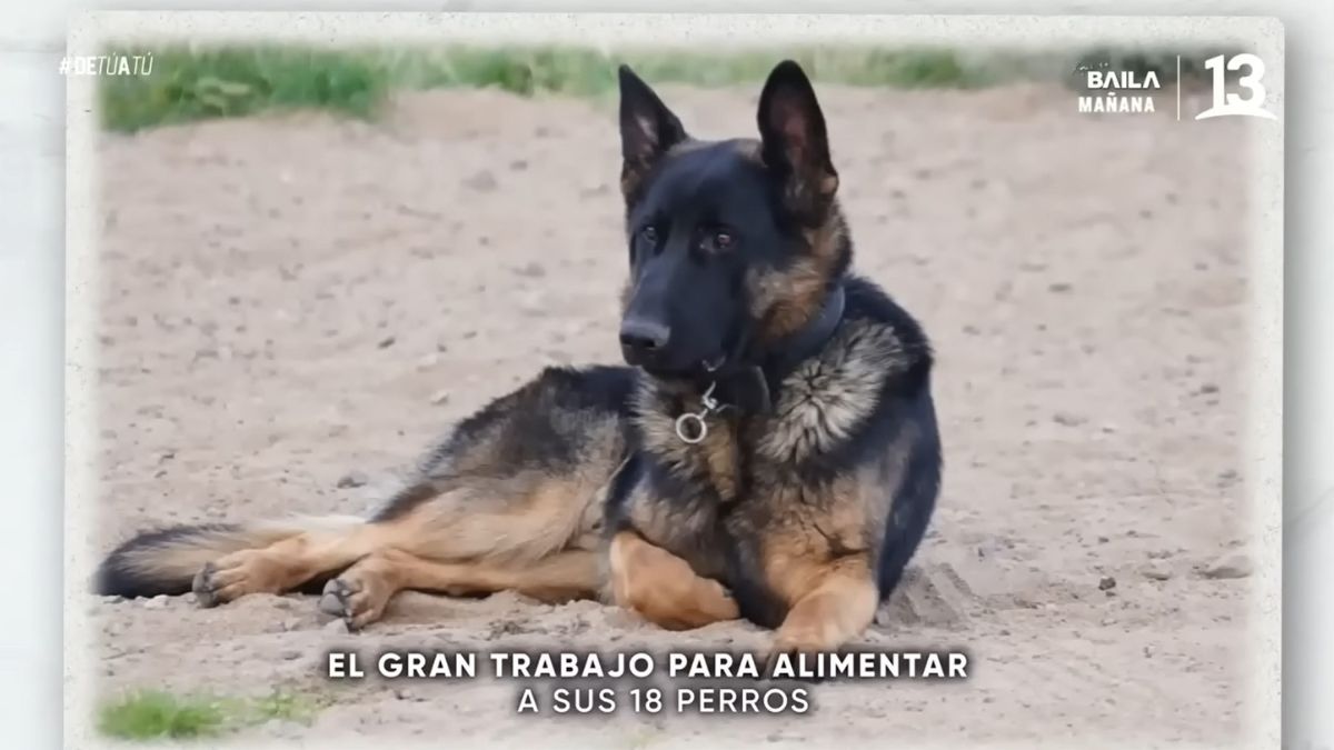 Rodrigo Villegas Mascotas (5)