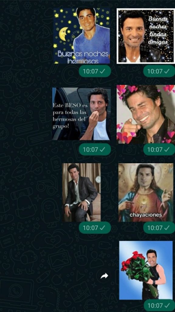 Chayanne Stickers 5