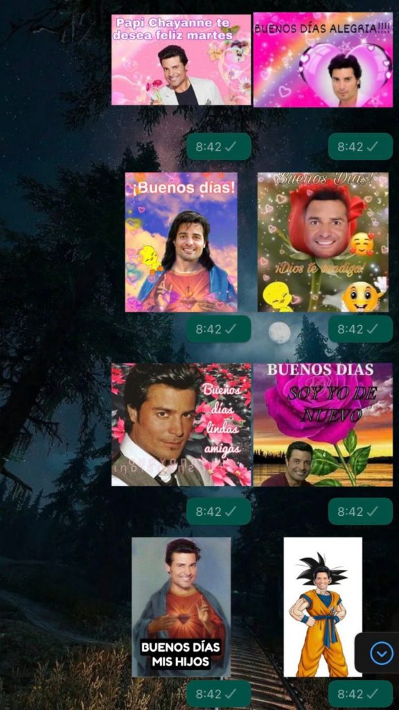Chayanne Stickers 7