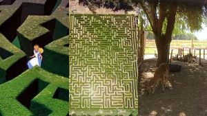 El parque que te hará sentir en el País de las Maravillas: tiene un gran laberinto, bambis y está a 90 minutos de Santiago