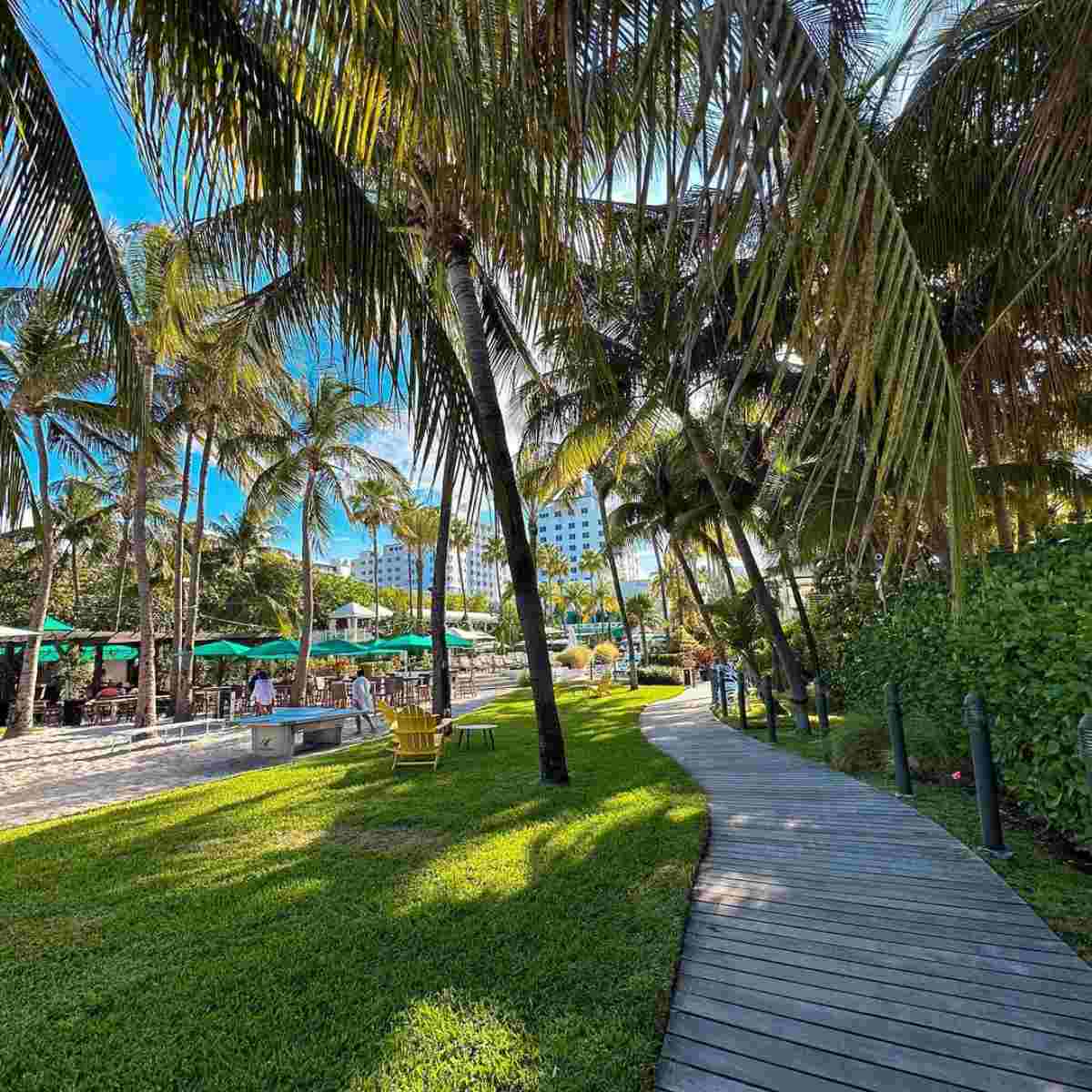 Gala Caldirola Pinilla  