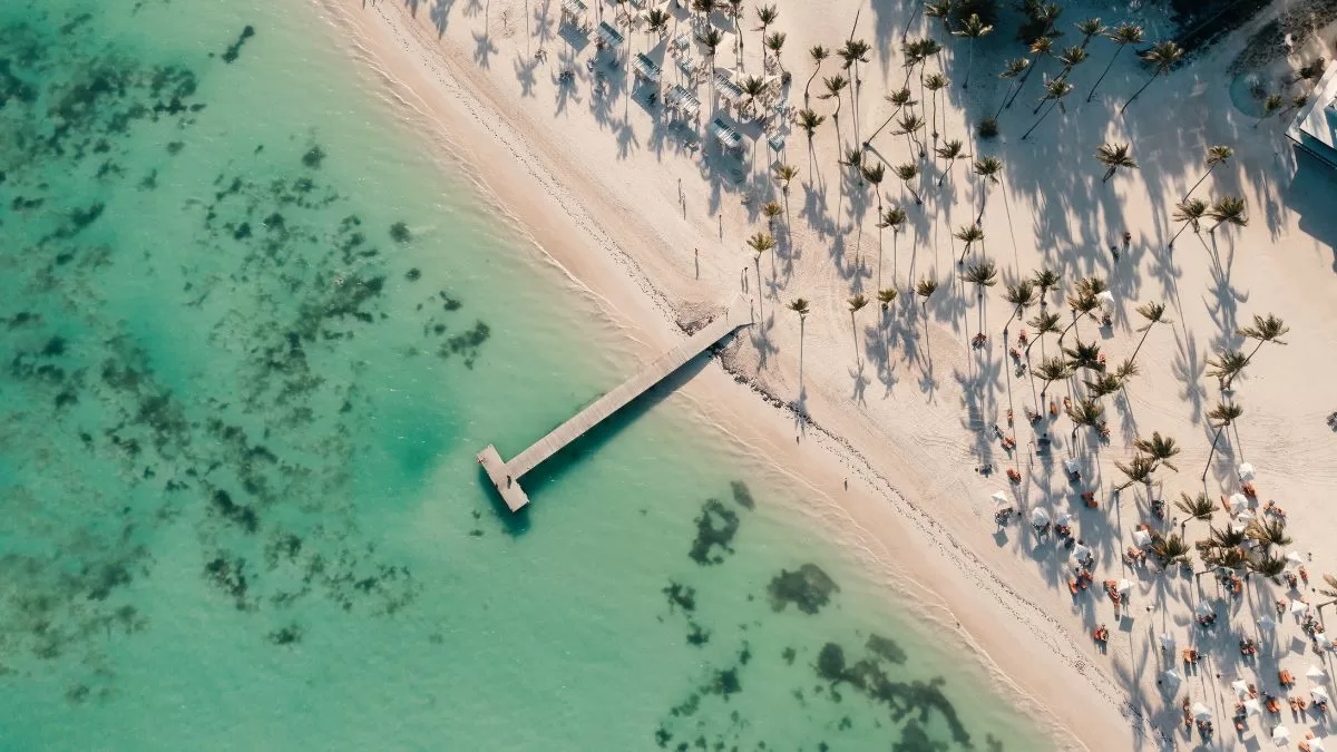 Vuelos Punta Cana (1)