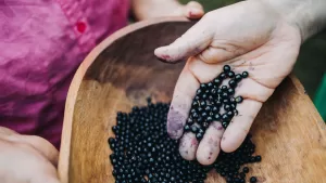 ¡Fácil y rico! Conoce la receta para preparar Maqui Sour, trago ideal para compartir con tus amigos