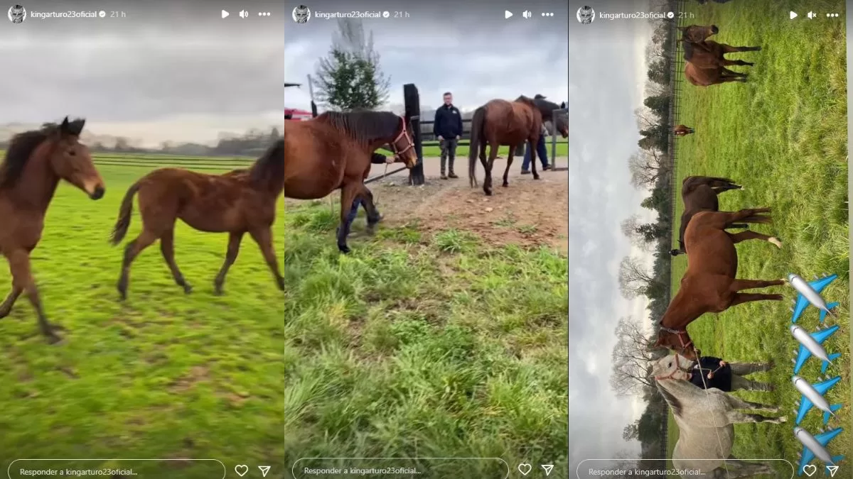 Arturo Vidal Mauricio Israel (2)