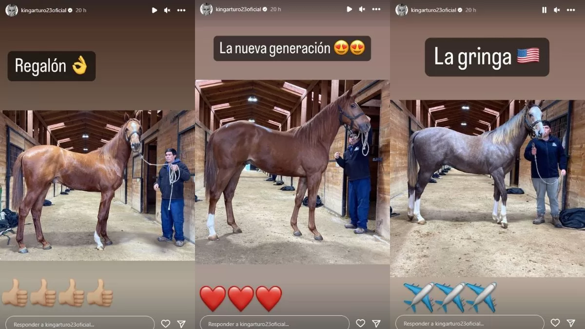 Arturo Vidal Mauricio Israel (3)