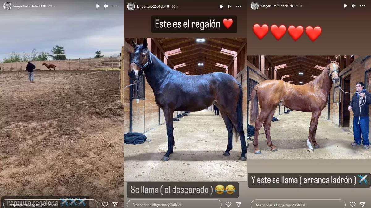 Arturo Vidal Mauricio Israel (4)