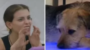 "Sintió que me estaba...": Constanza Capelli reconoció que Bigote la defendió de Sebastián Ramírez en Gran Hermano Chile