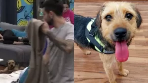 Bambino lanzó violento comentario contra Bigote y los seguidores de Gran Hermano Chile exigen sanción