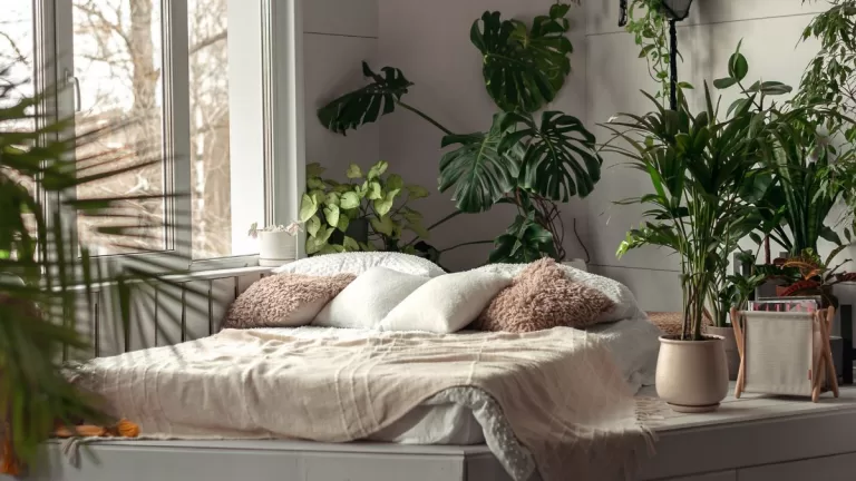 Plantas Para Dormitorio