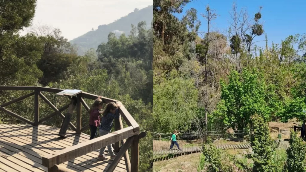 Vacaciones De Invierno 2023 (9)