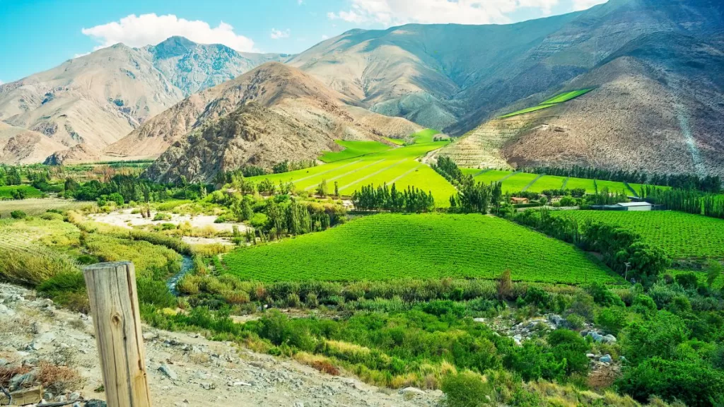 Valle Del Elqui Pasajes