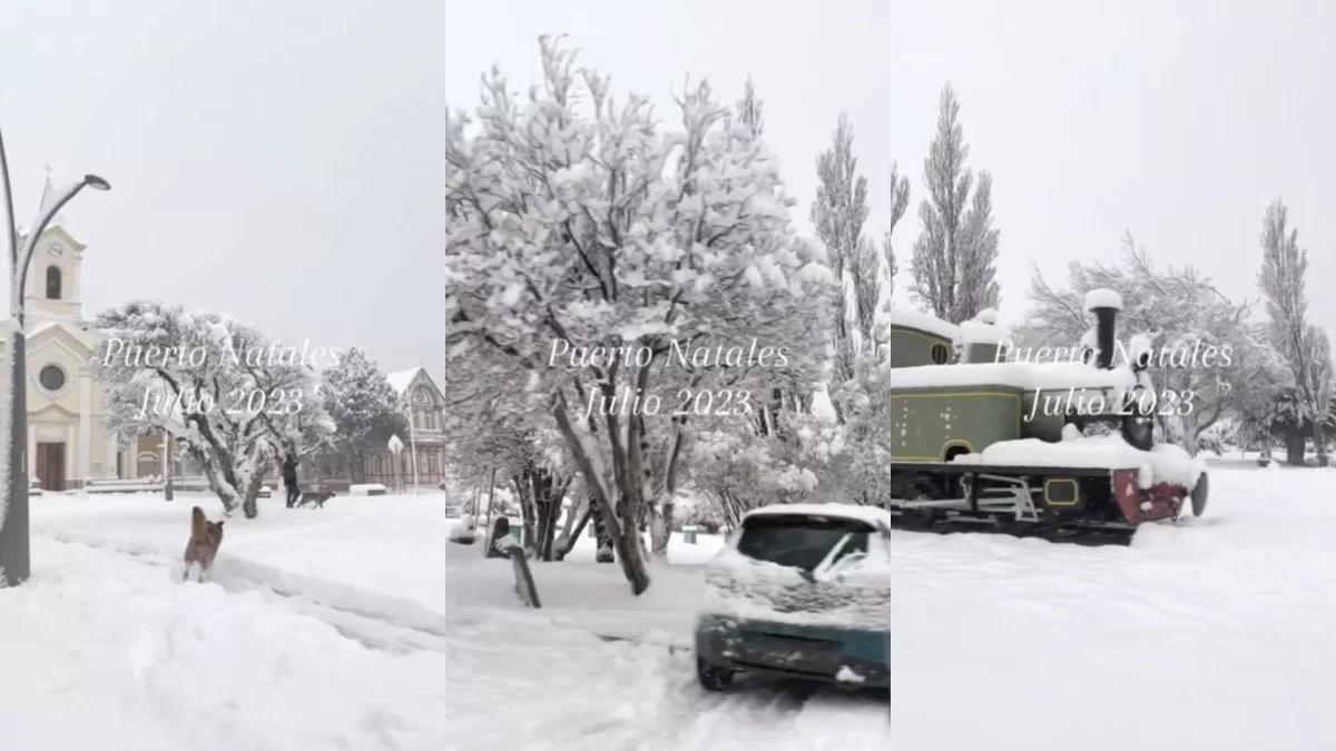 "¿Alaska eres tú?": Video viral en TikTok muestra a Puerto Natales bajo una impresionante capa de nieve