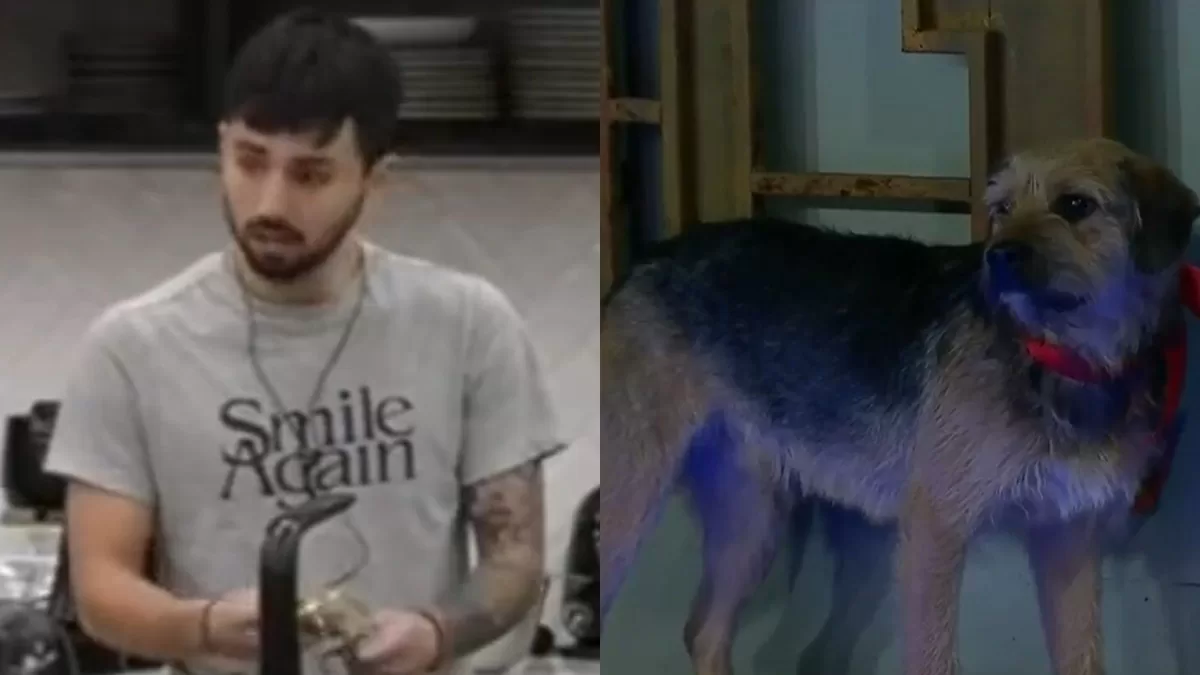 Gran Hermano Chile | "Si lo tiramos a...": Video muestra los violentos comentarios de Bambino sobre Bigote