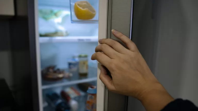 Mal Olor Refrigerador (2)