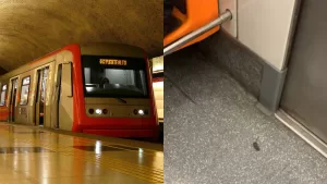 Metro de Santiago: Ratón es grabado al interior de un vagón y se hace viral en TikTok