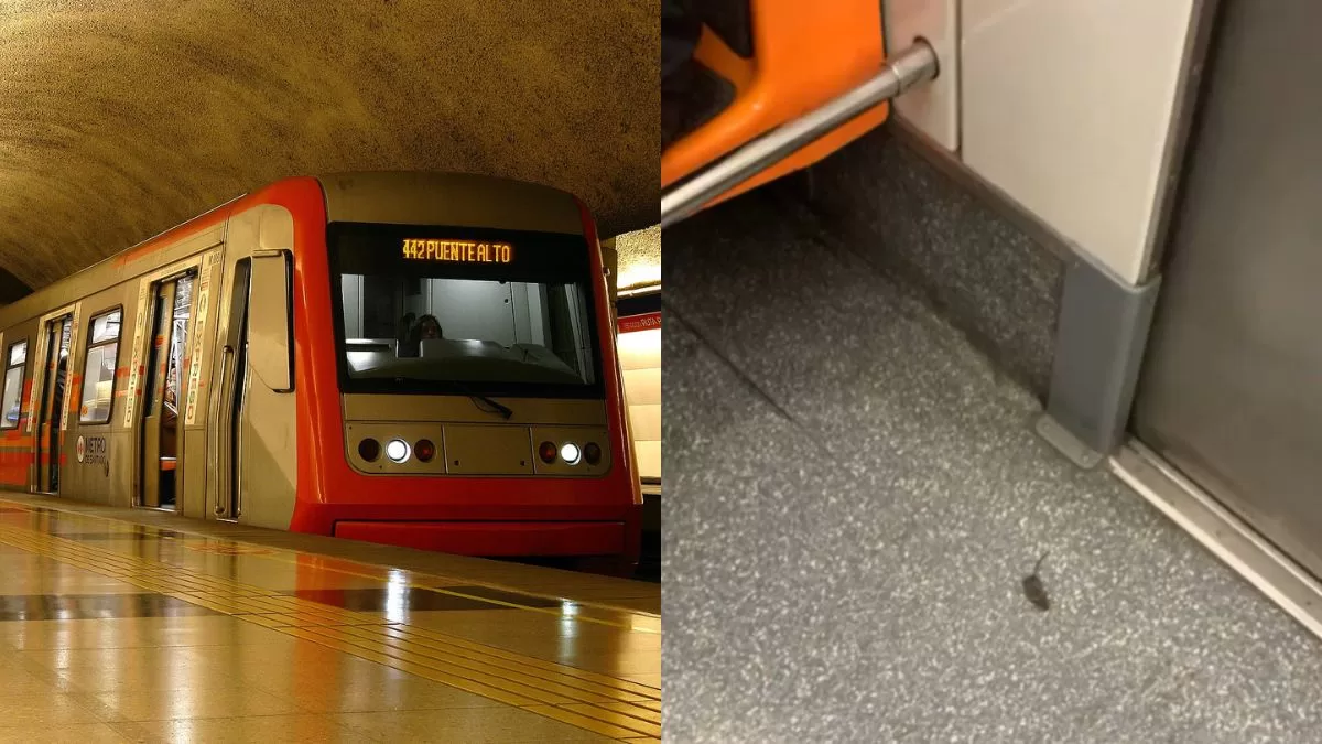 Metro de Santiago: Ratón es grabado al interior de un vagón y se hace viral en TikTok
