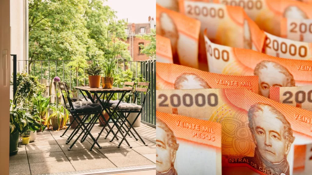 Plantas Para El Dinero