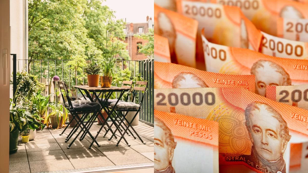 ¡Pocos lo saben! Estas son las 5 plantas que atraen el dinero y la buena suerte en Chile