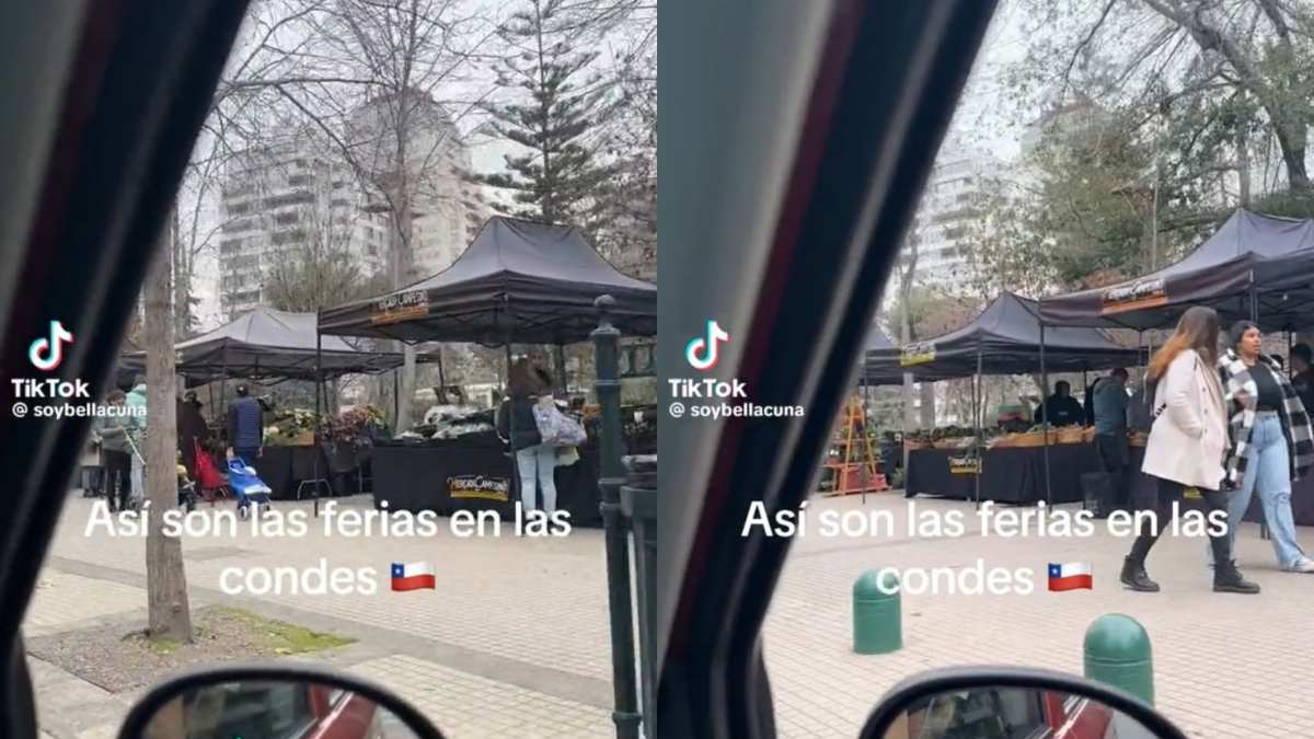 "Nadie grita casera": Viral de TikTok muestra curioso dato de las ferias en Las Condes