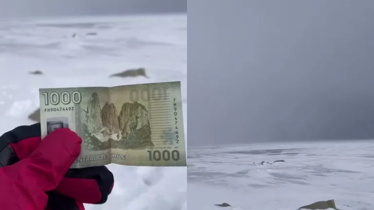 Chilena viajó a Torres del Paine y se llevó fatal decepción tras duro trekking: "Mi mayor miedo"