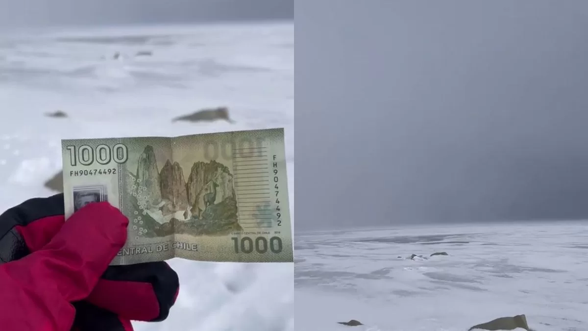 Chilena viajó a Torres del Paine y se llevó fatal decepción tras duro trekking: "Mi mayor miedo"