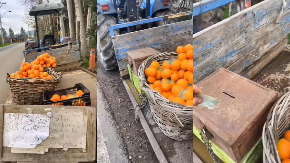 Usuario viral en TikTok se autoatiende en un negocio y demuestra que la honradez aún existe: "debe ser lejos de Santiago"