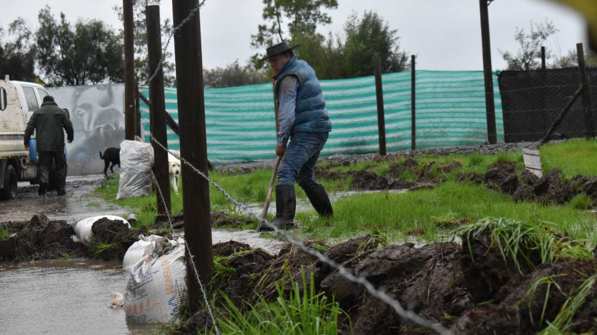 Bono De Recuperacion De Enseres
