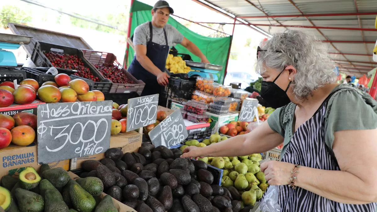 Bono Dueña De Casa 2023 (1)