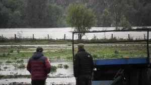 Bono por sistema frontal: Conoce cuál es la ayuda estatal para las agricultoras y agricultores afectados